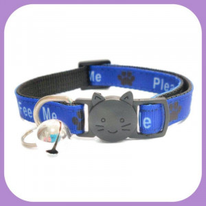 Kitten-257